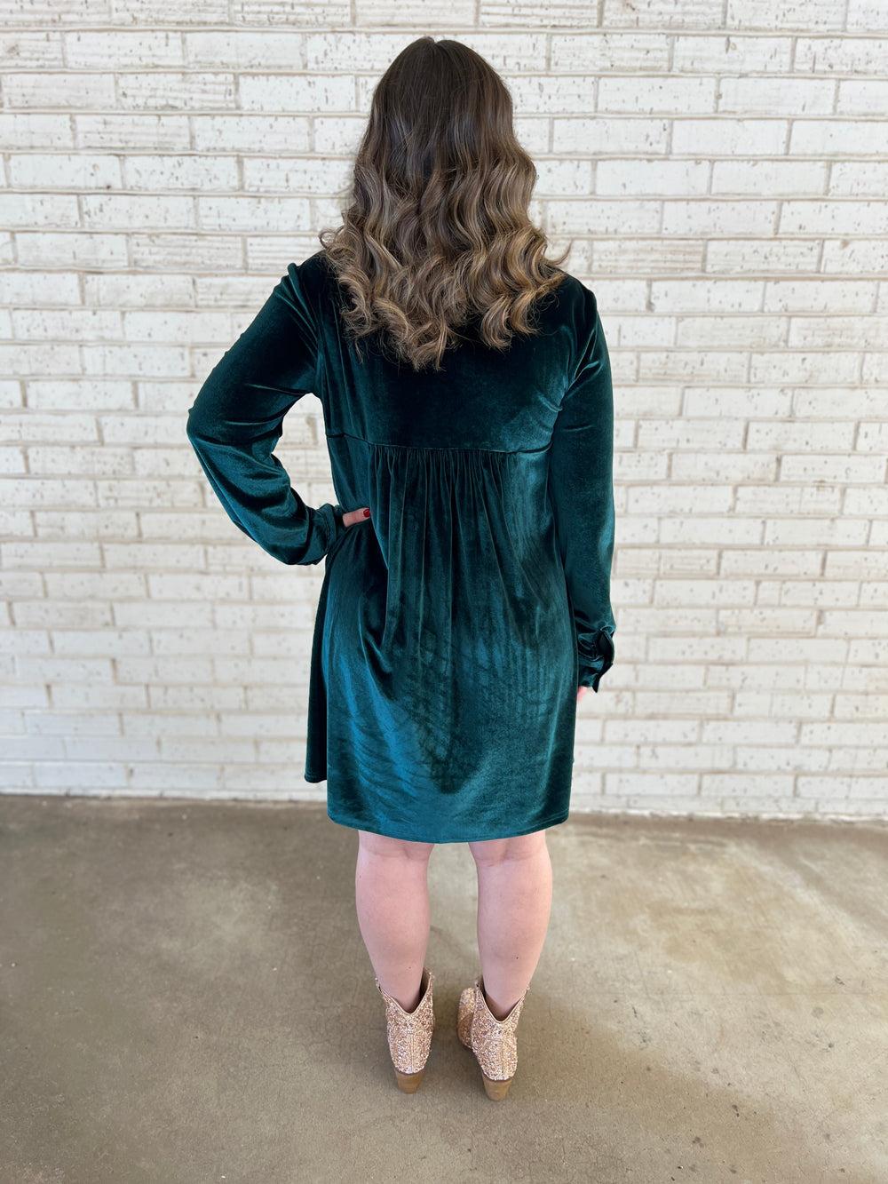 Soft Velvet Button Up Dress - 2 Colors* Product Image