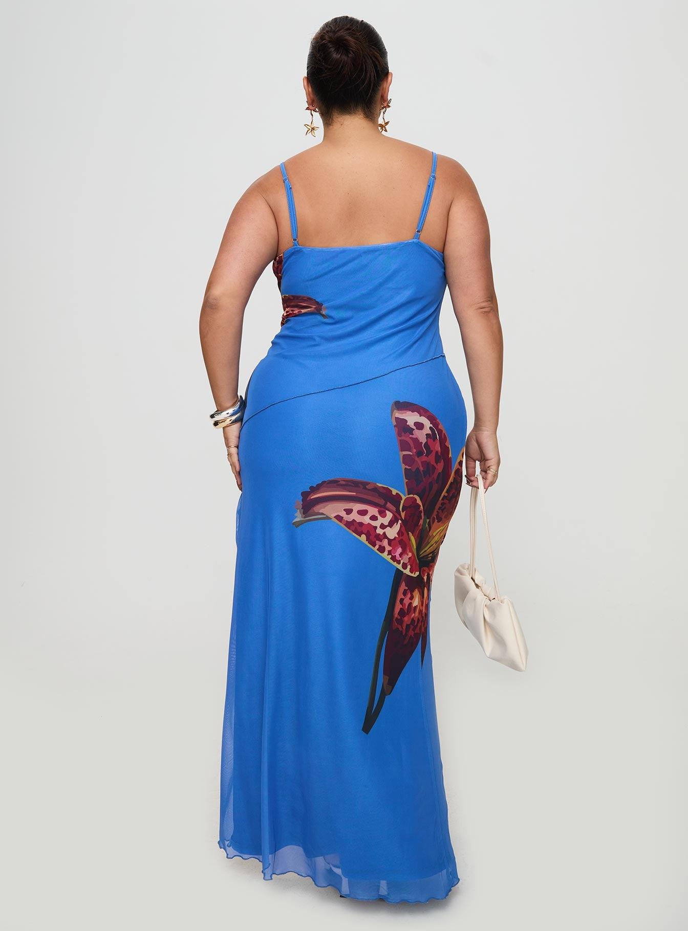 Bespoke Maxi Dress Blue Curve Product Image