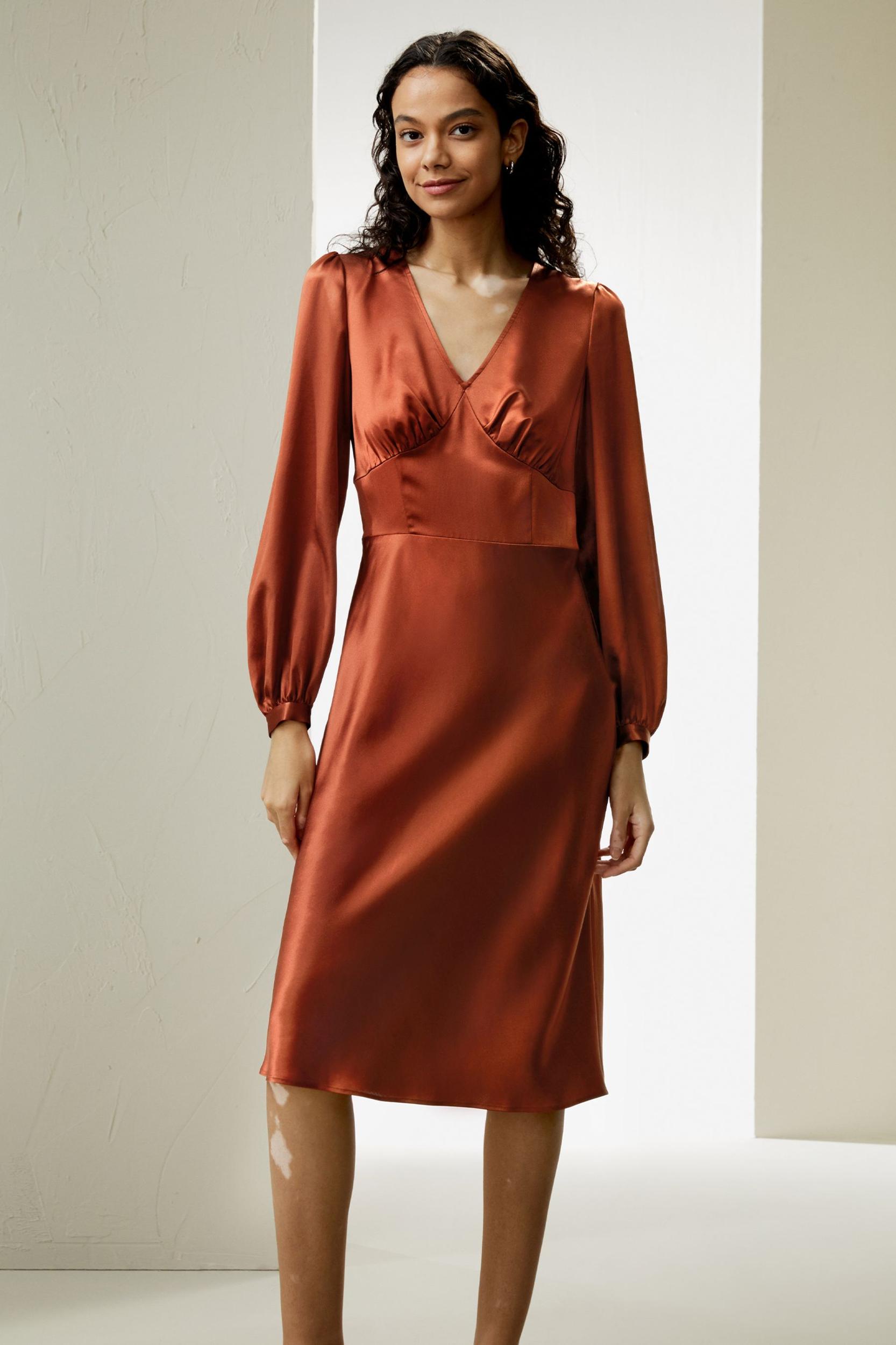 LILYSILK Long Sleeve Dress Silk for Women Red Clay Natural Silk Versatile Pleated Cups Dress 2 Product Image