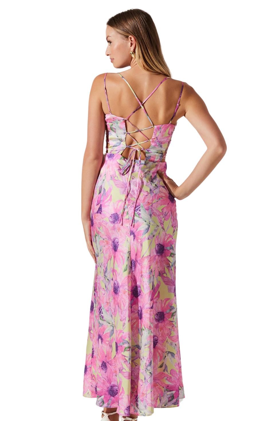 Antlia Dress Product Image