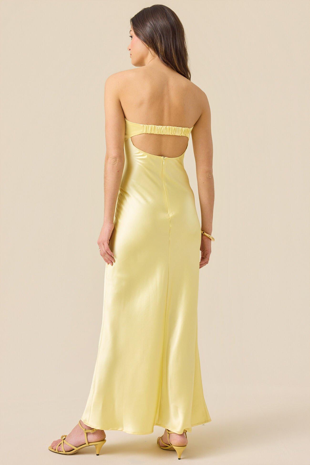 Paityn Strapless Maxi Dress Product Image