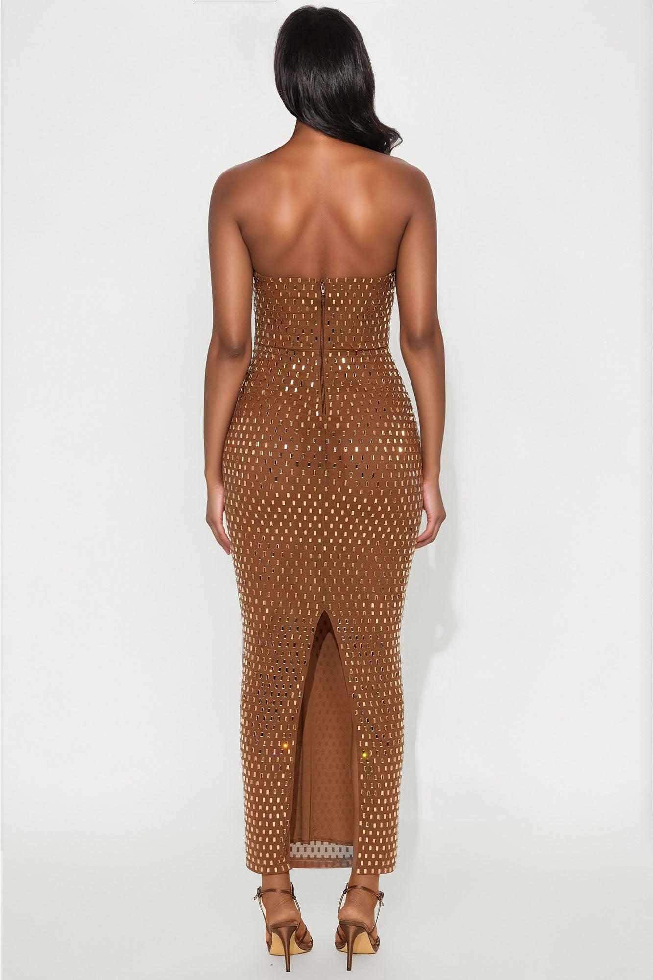 Maria Embellished Mesh Maxi Tube Dress - Brown Female Product Image
