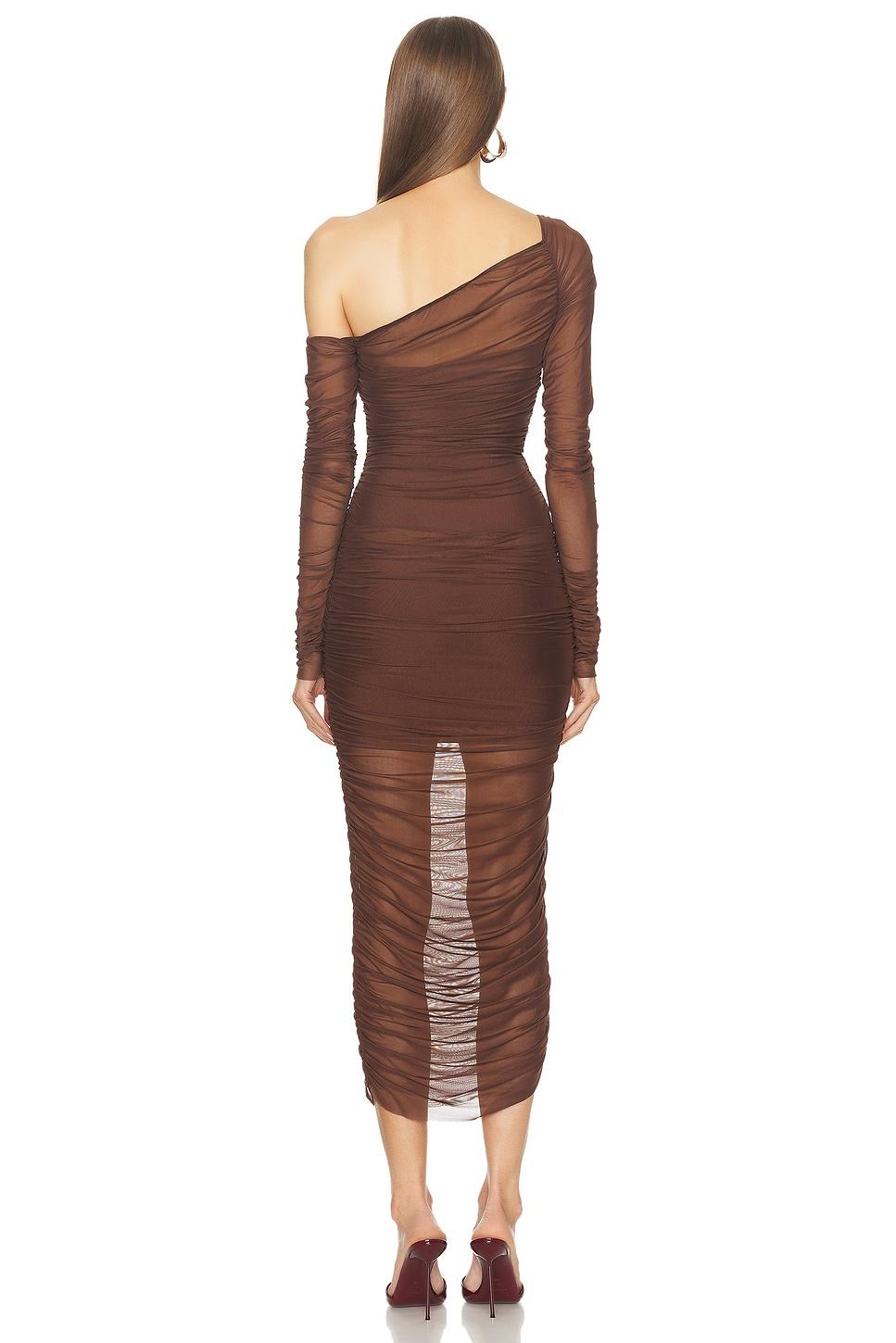 Chantae Mesh Dress Product Image