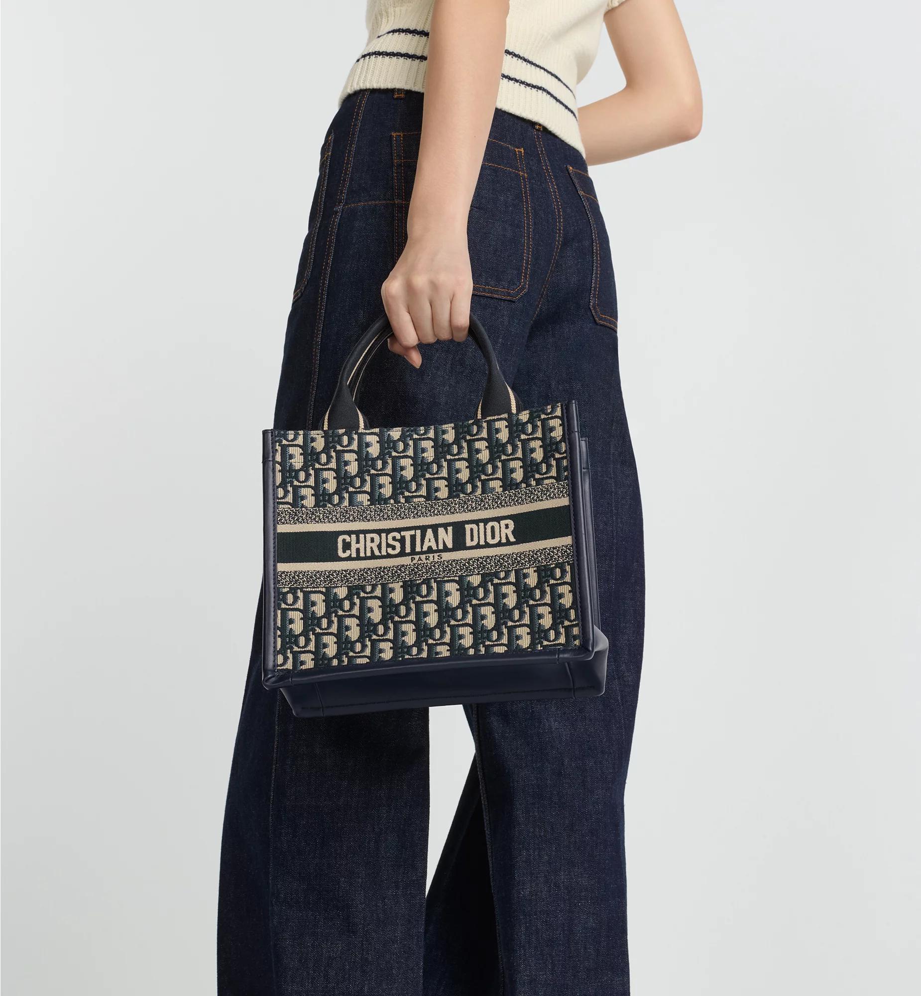 Small Dior Book Tote Product Image