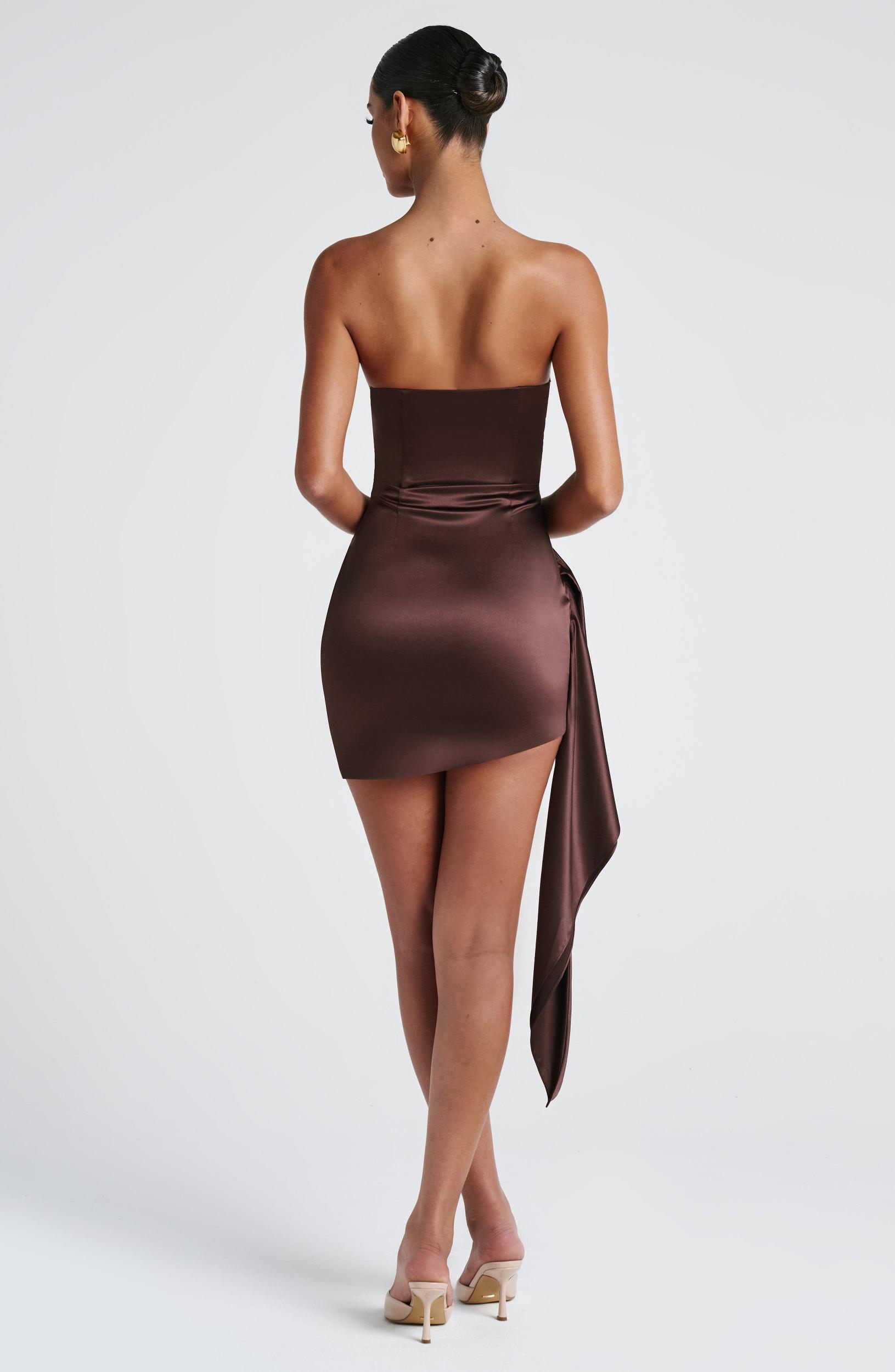 Leoni Mini Dress - Plum Brown Product Image