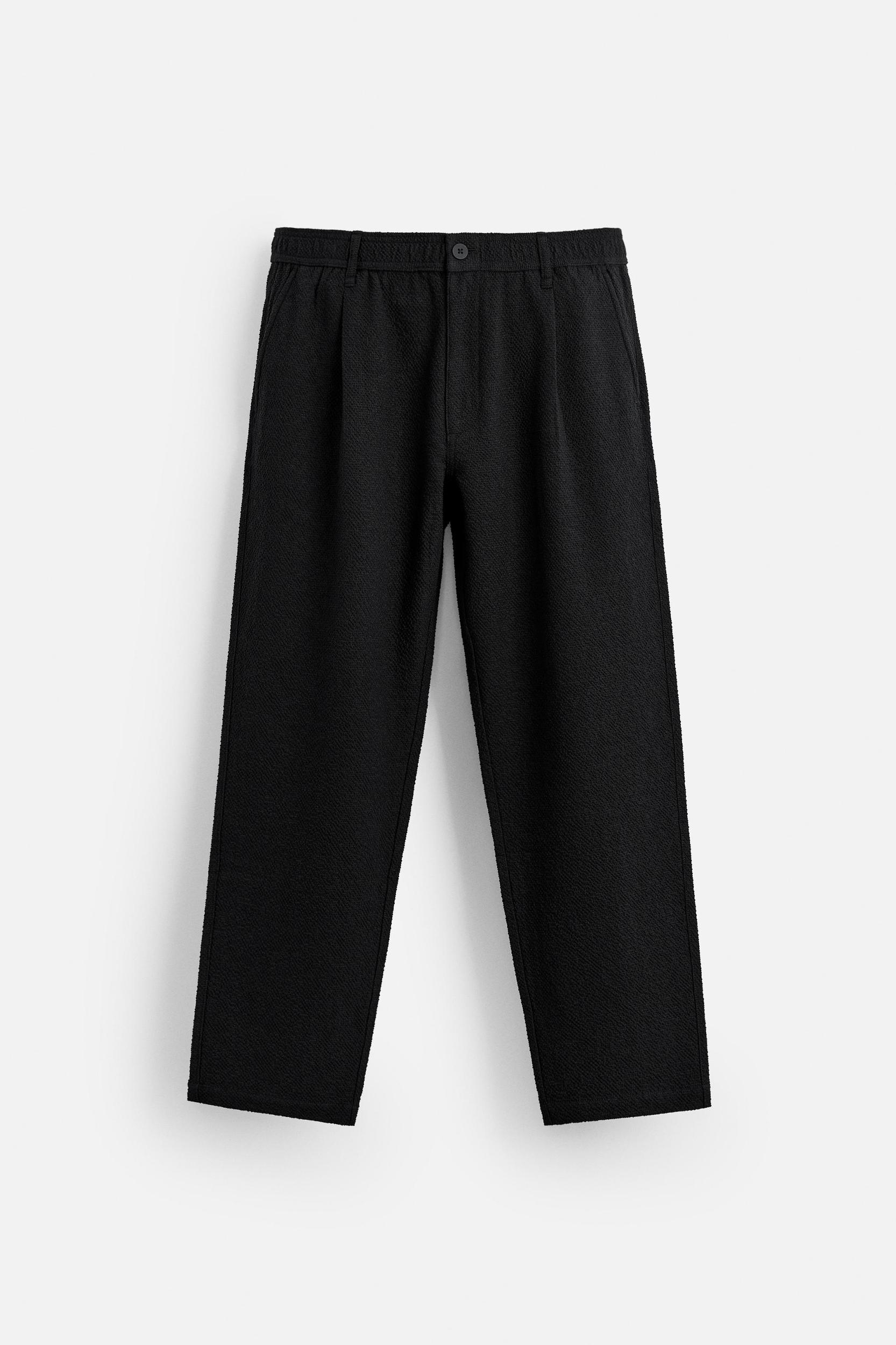 TEXTURED PLEATED PANTS Product Image
