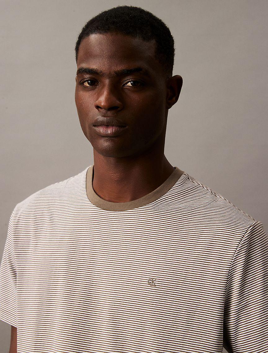 Smooth Cotton Stripe Classic T-Shirt Product Image