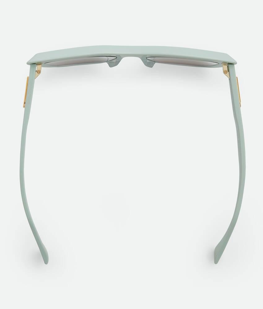 Women's Classic Cat Eye Sunglasses in Green/brown Product Image