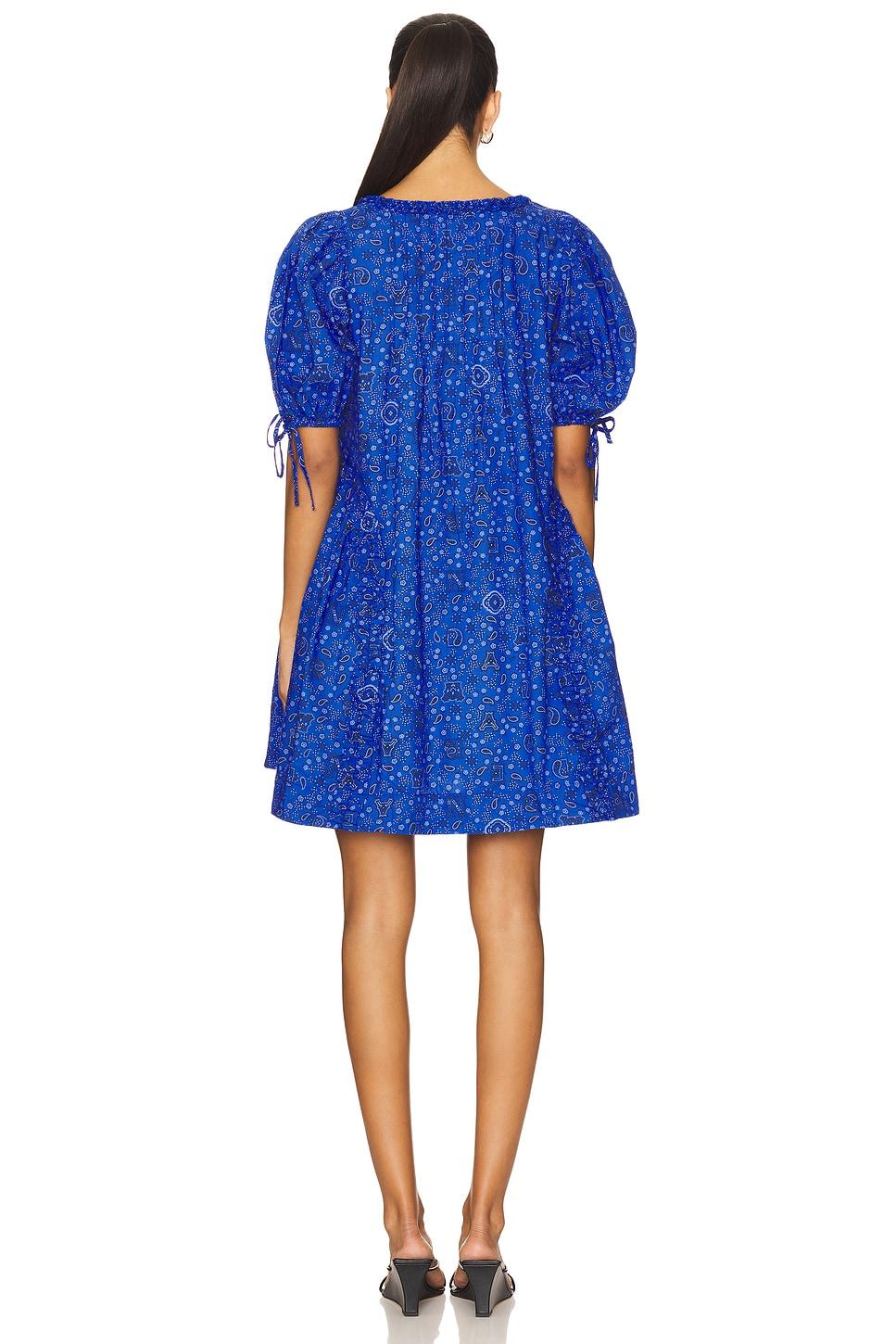 Meri Mini Dress Damson Madder Product Image