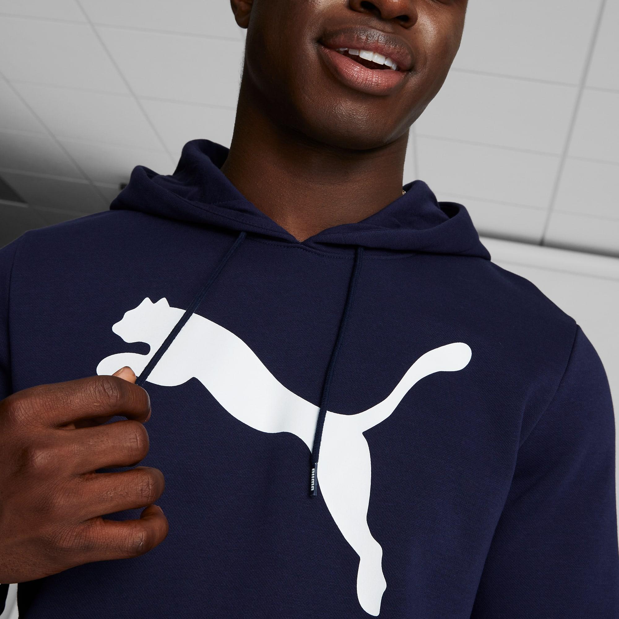 Big Cat Men's Logo Hoodie Product Image
