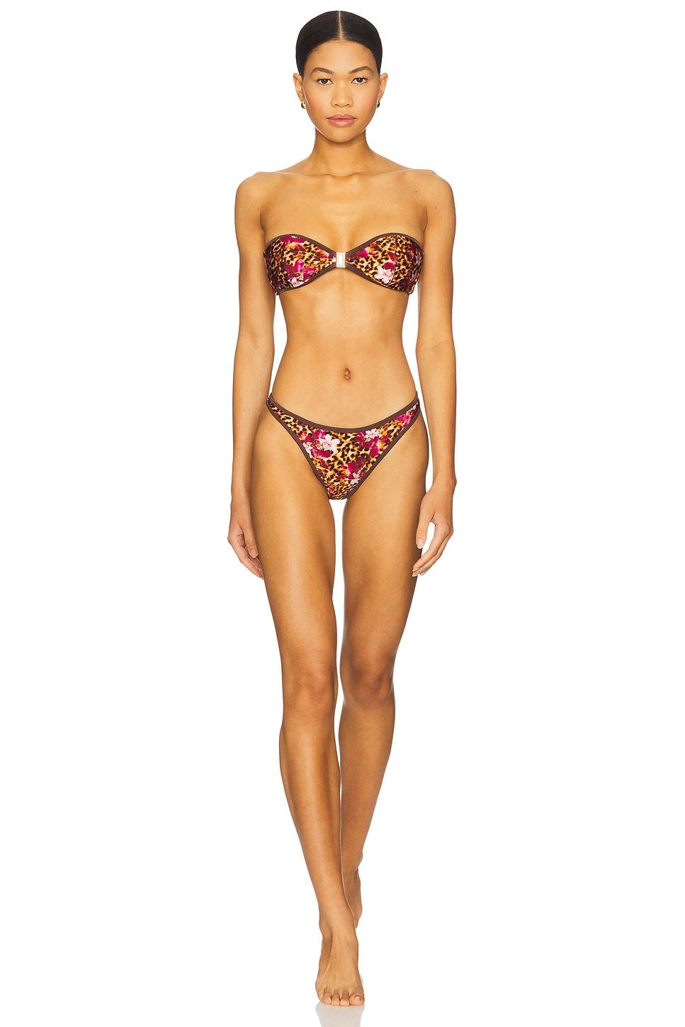 Tallara Bikini Top FAE Product Image