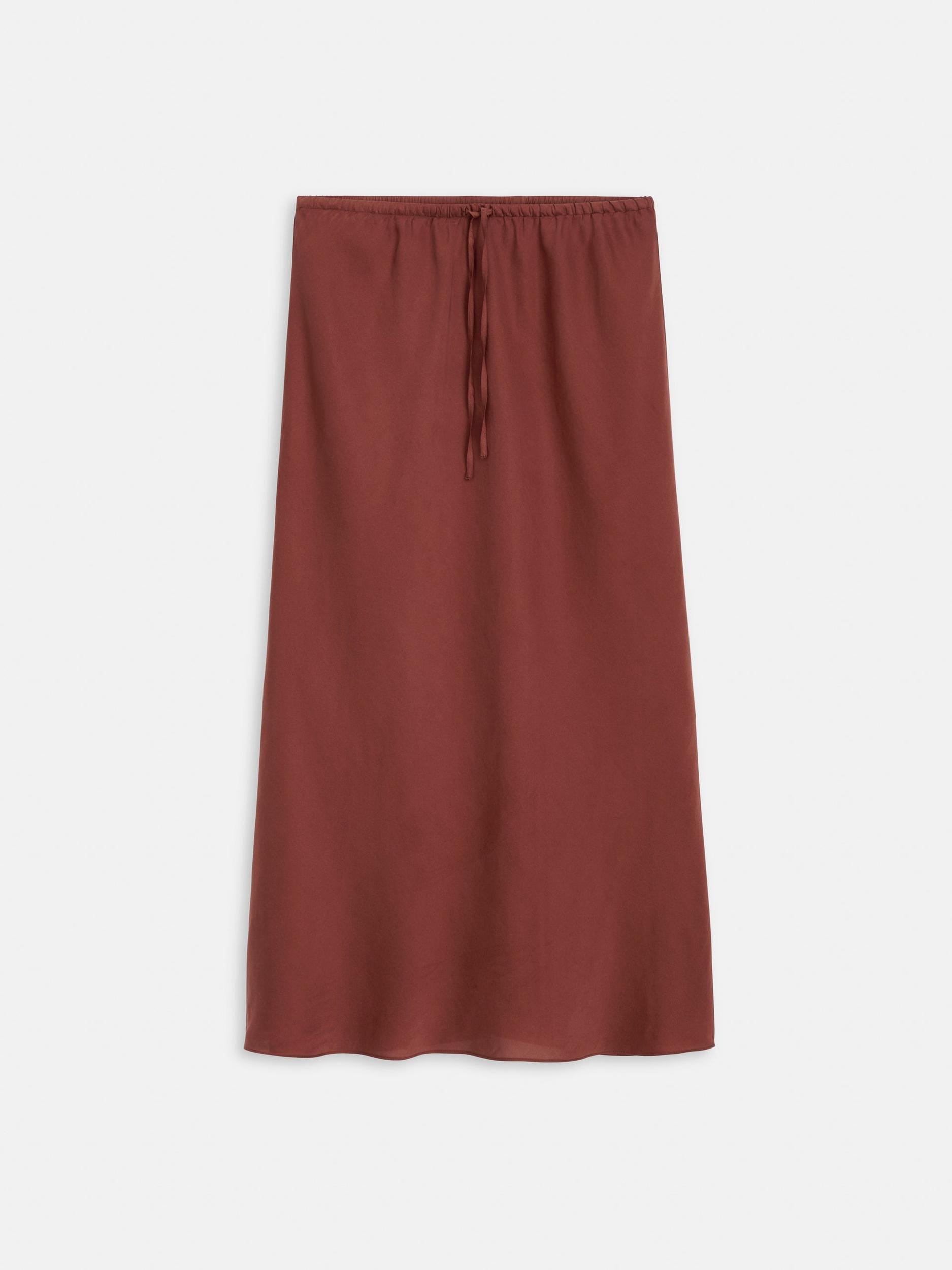 Lilly Slip Skirt In Washed Silk Product Image