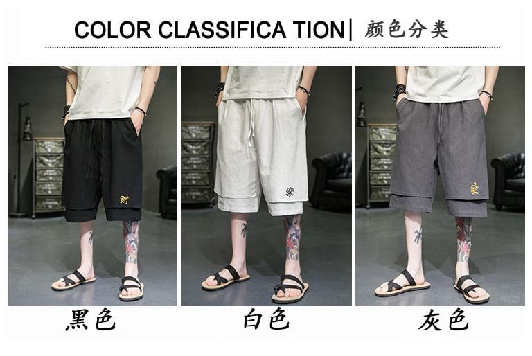 Drawstring Waist Embroidered Panel Shorts Product Image