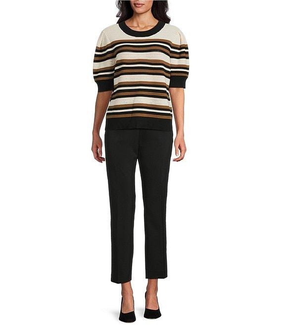 Investments Petite Size Buttercream Stripe Novelty Short Sleeve Crew Neck Sweater Top Product Image