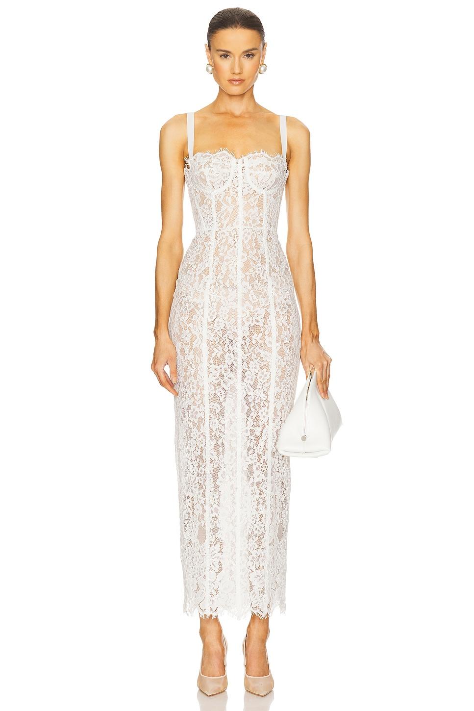 The Lace Column Dress Helsa Product Image