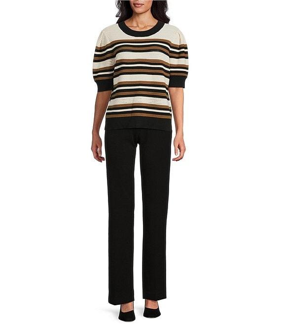 Investments Petite Size Buttercream Stripe Novelty Short Sleeve Crew Neck Sweater Top Product Image