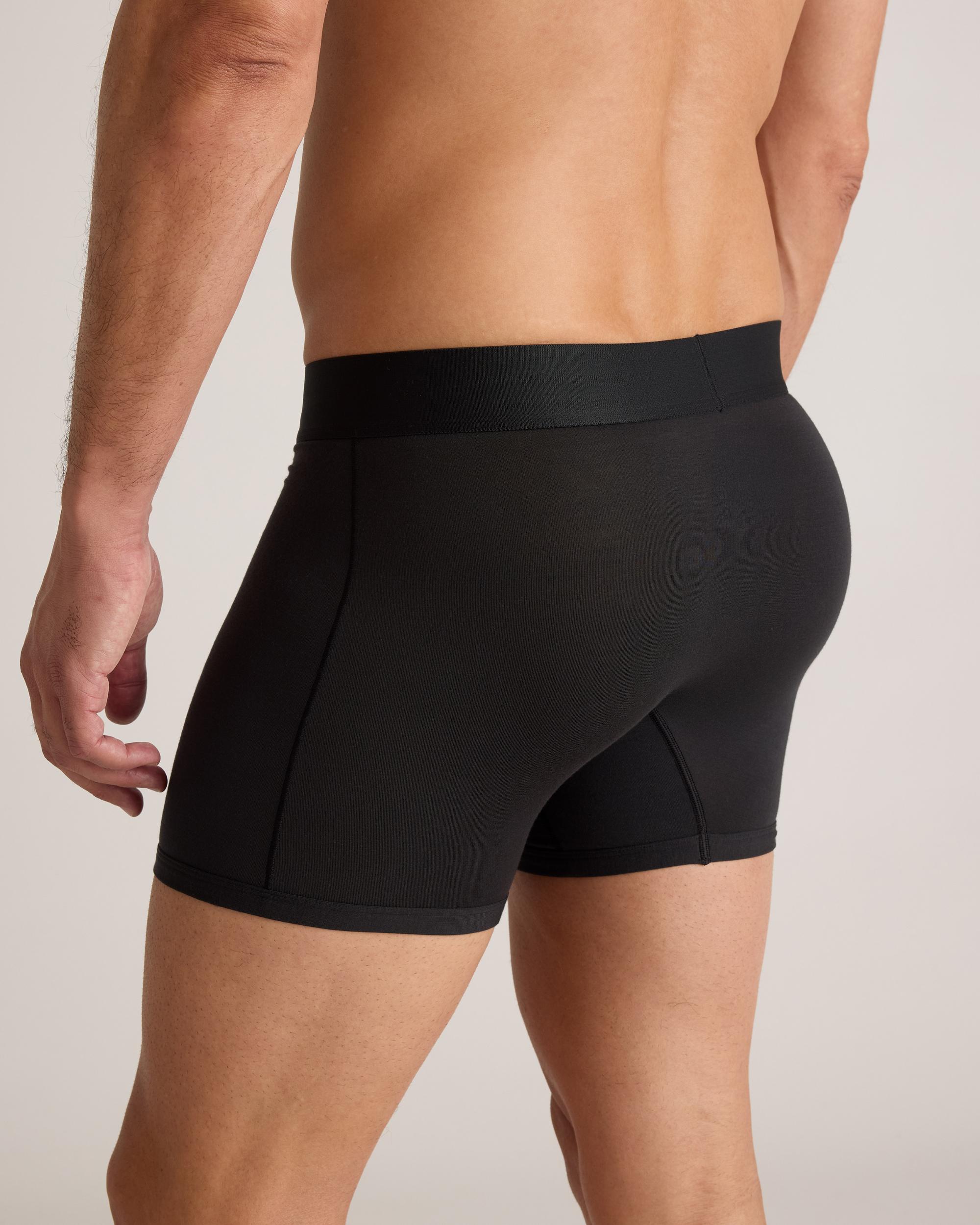 Quince | Men's Micromodal 4" Trunk Product Image