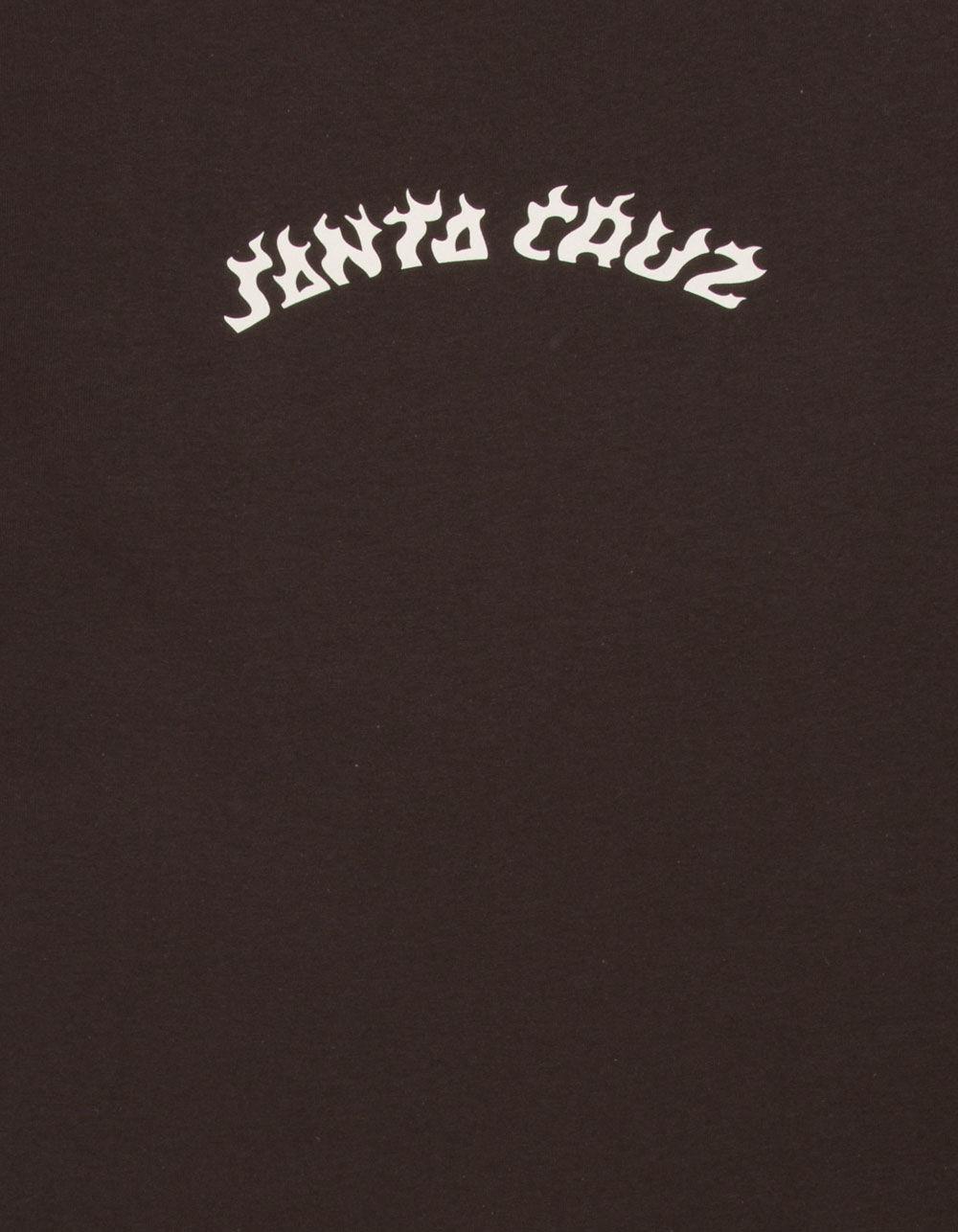 SANTA CRUZ Flame Arc Mens Tee - CHOCOLATE Product Image