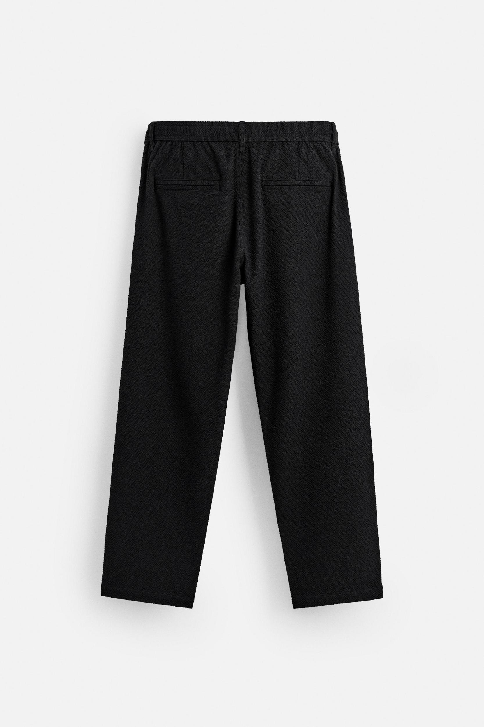 TEXTURED PLEATED PANTS Product Image