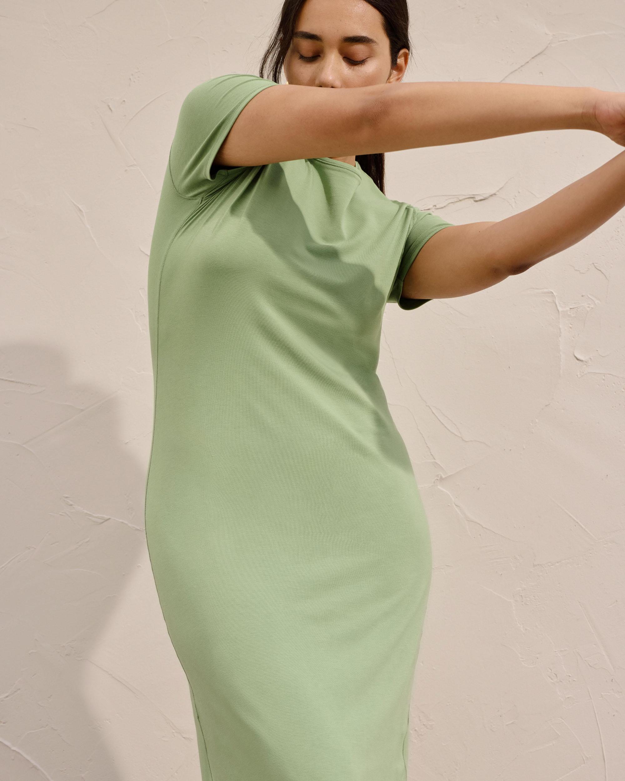 The Form Dress Product Image