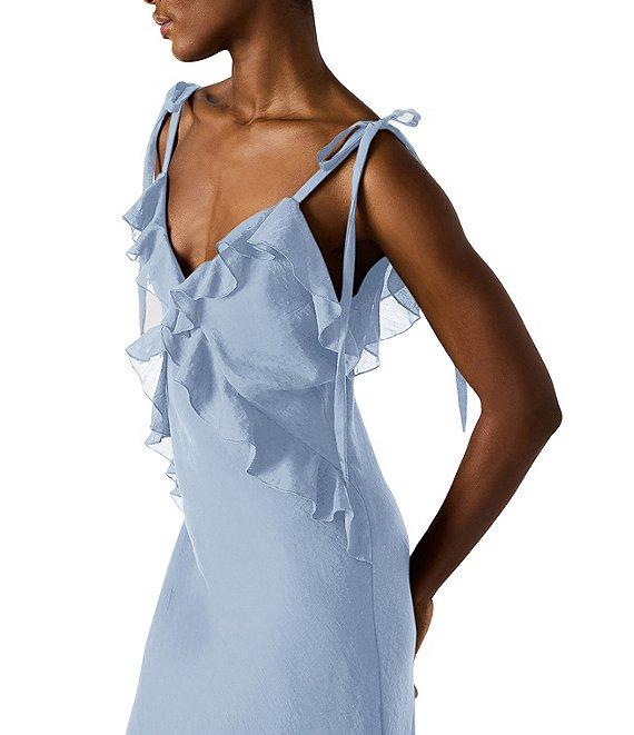 Steve Madden Adalina V-Neck Sleeveless Ruffle Maxi Dress Product Image