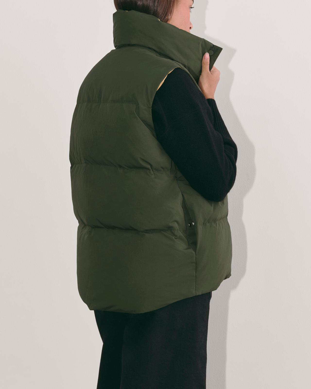 Womens Puffer Vest Coat by Everlane Product Image