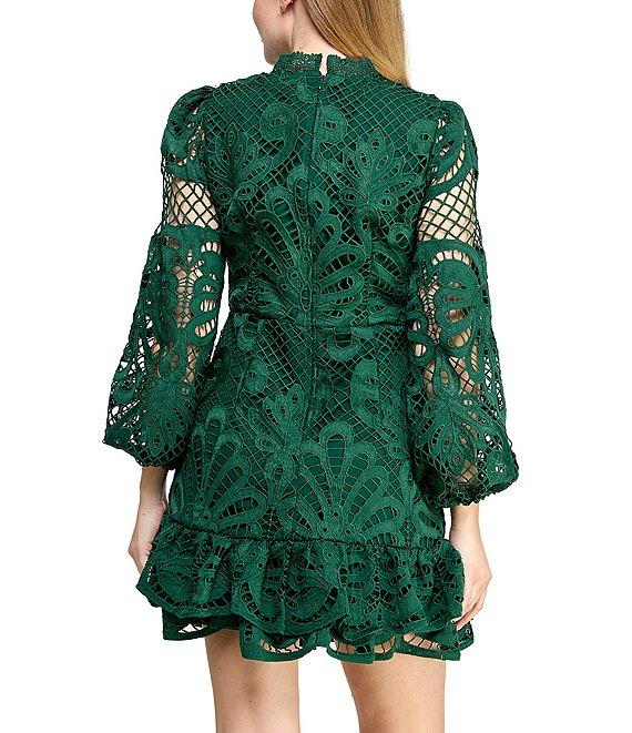 Layered With Love Vivian Illusion Lace Sleeve Ruffle Hem Mini Dress Product Image