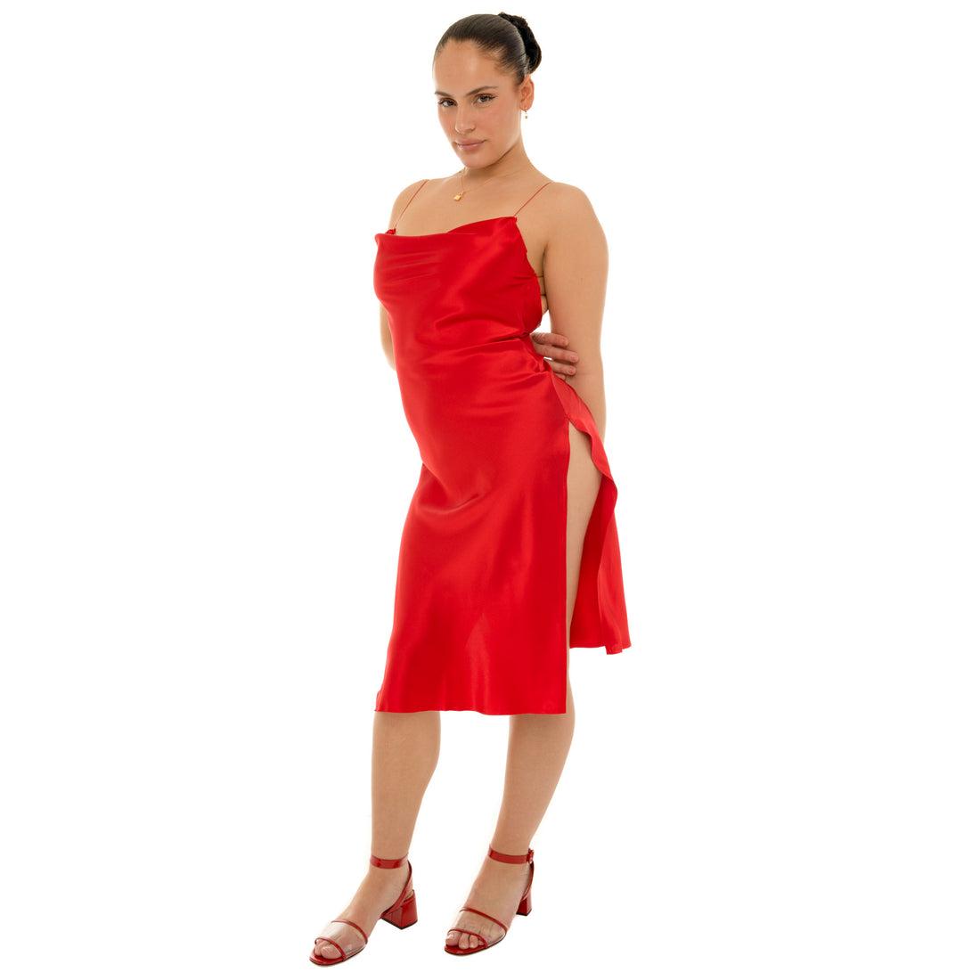 Nique Dress Product Image