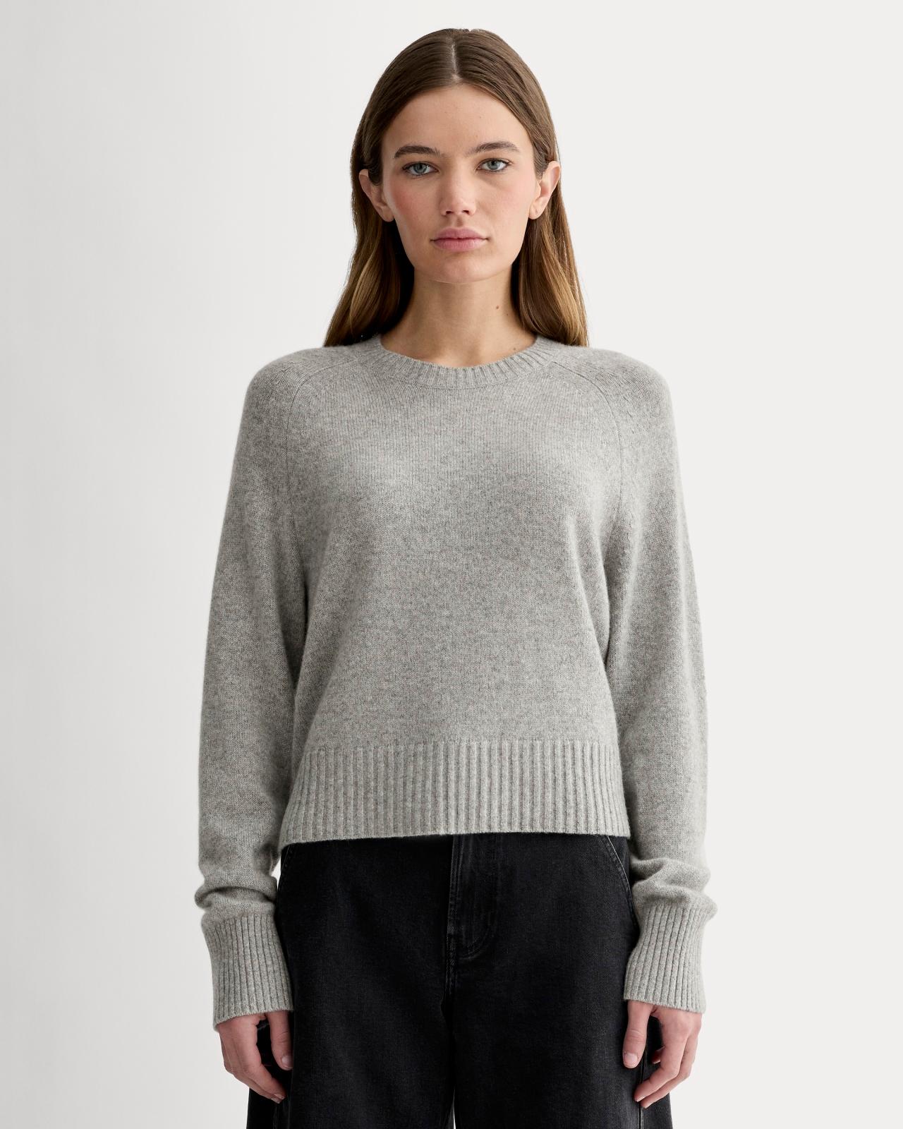 Womens Boxy Crew in Cashmere Sweater by Everlane Product Image