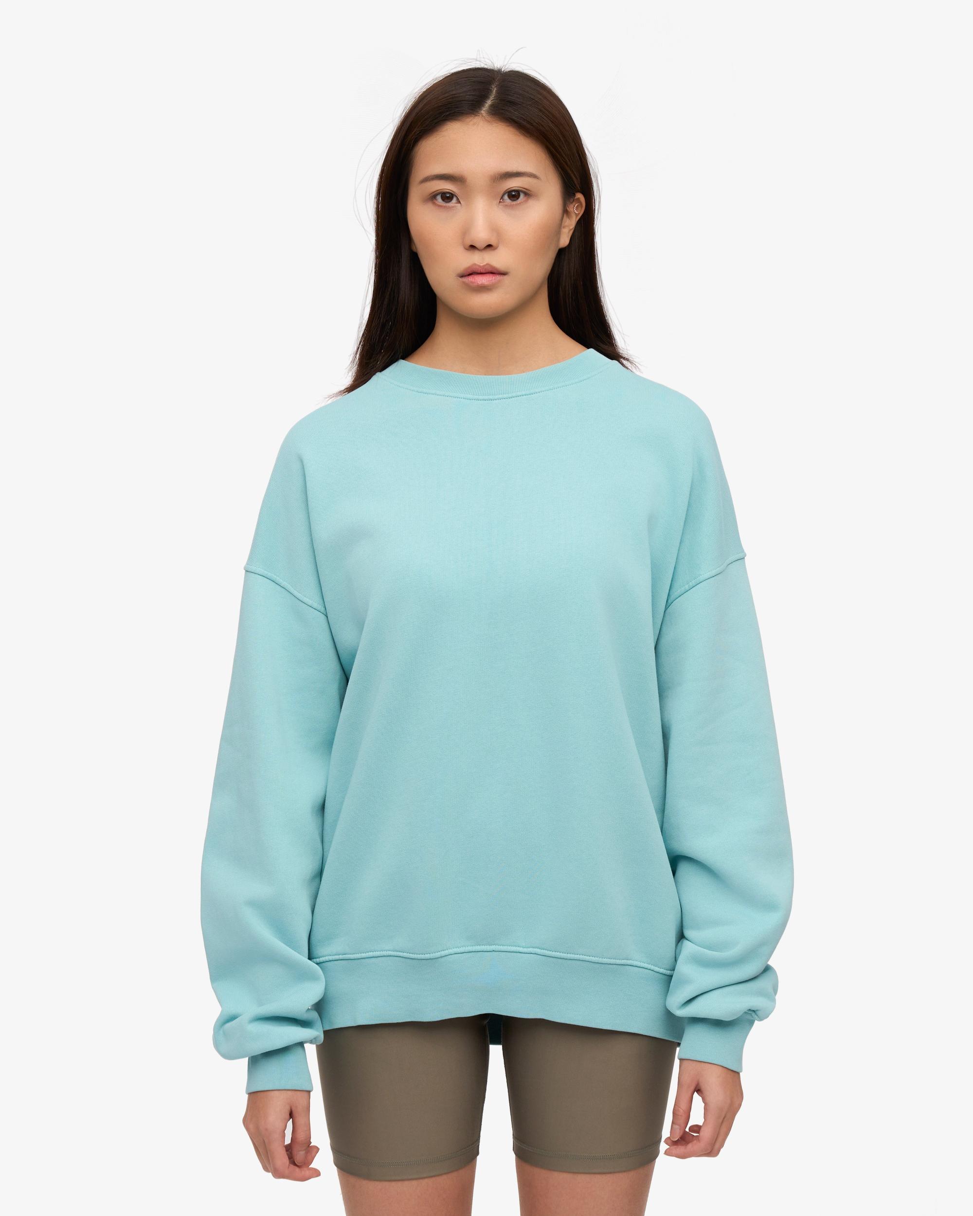 Organic Oversized Crew - Oyster Grey Product Image