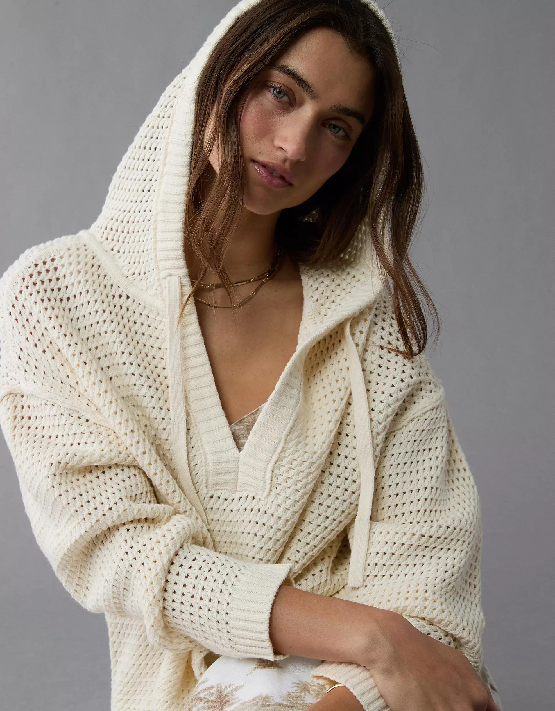 AE Popover Hoodie Product Image