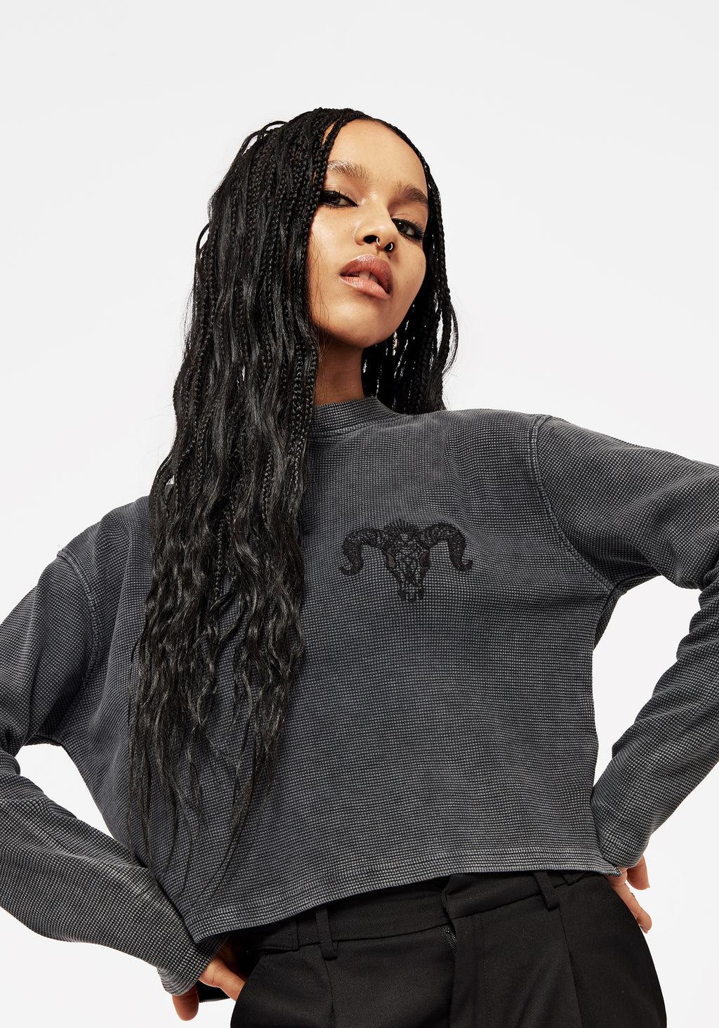 Ariel Cotton Blend Embroidered Long Sleeve Top Product Image