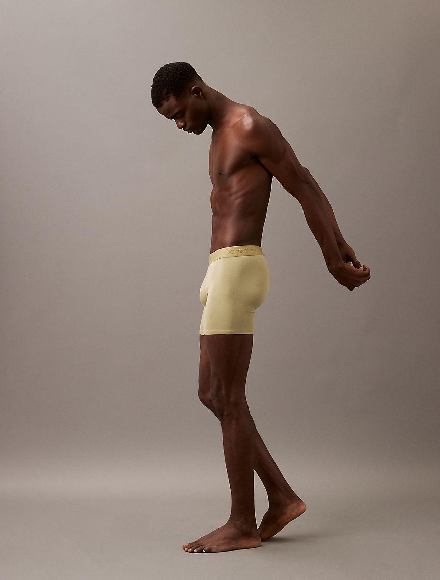 Ultra Soft Modal Boxer Brief Product Image
