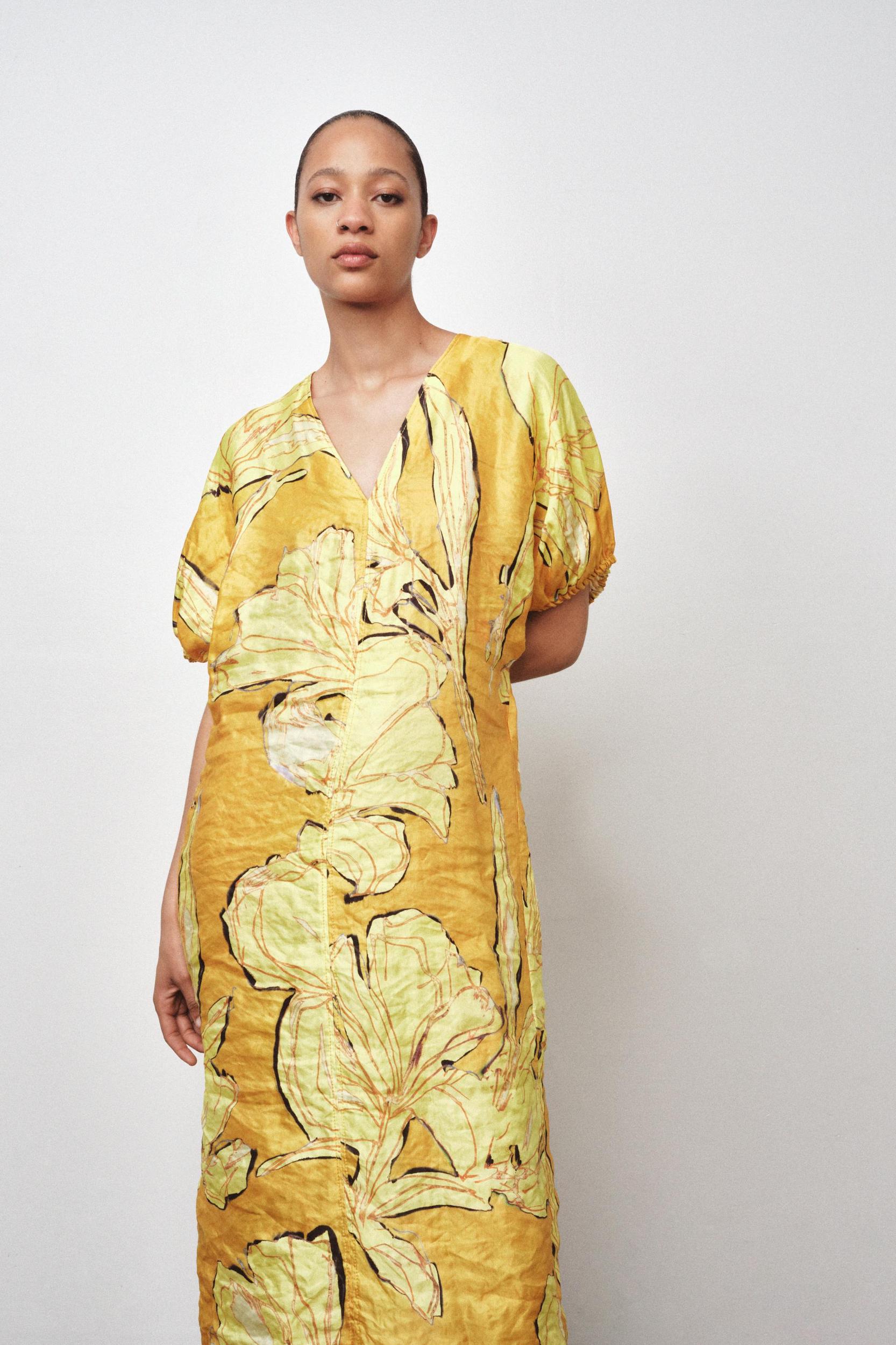 ZW COLLECTION PRINTED DRESS Product Image