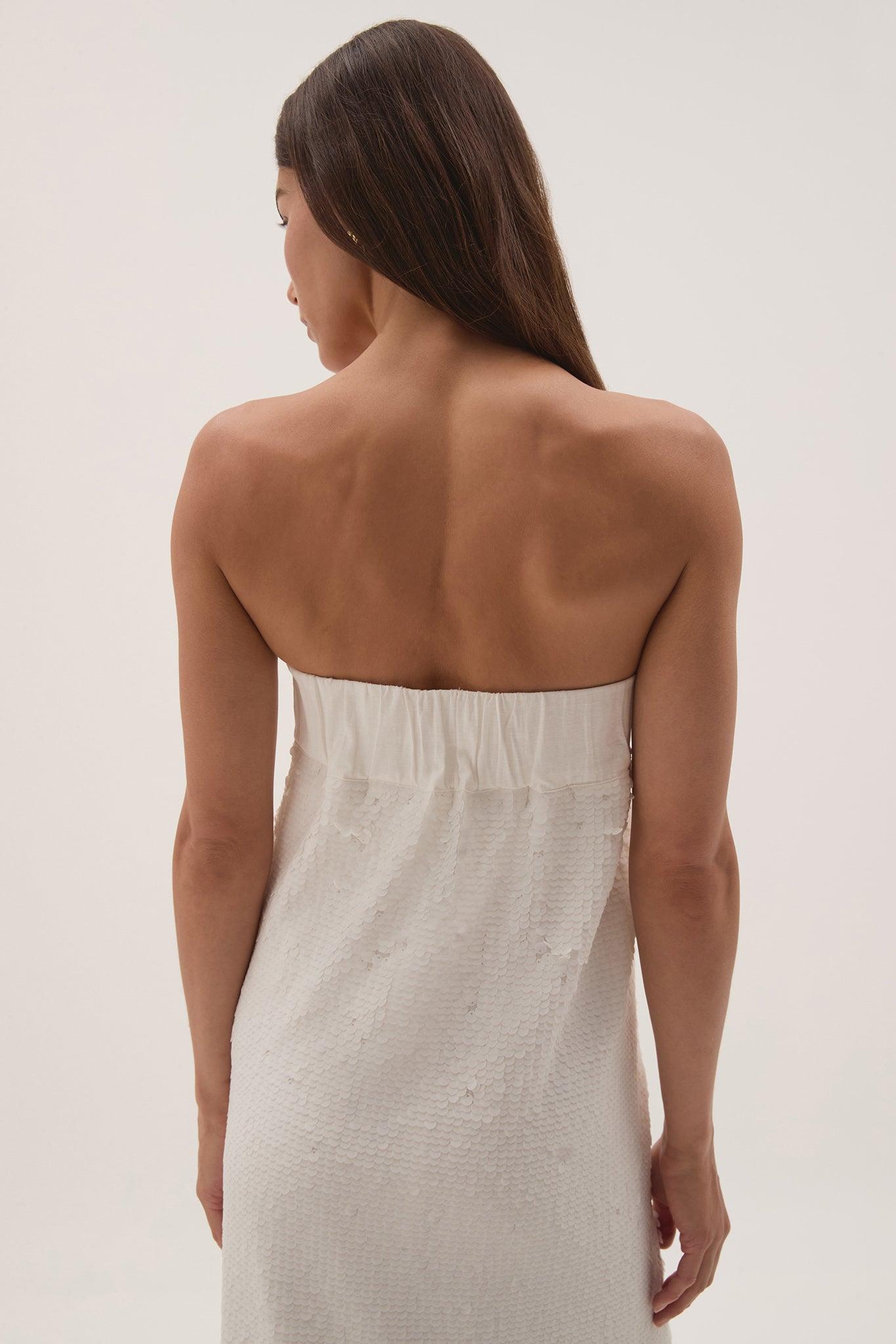 Nebula Maxi Dress Product Image