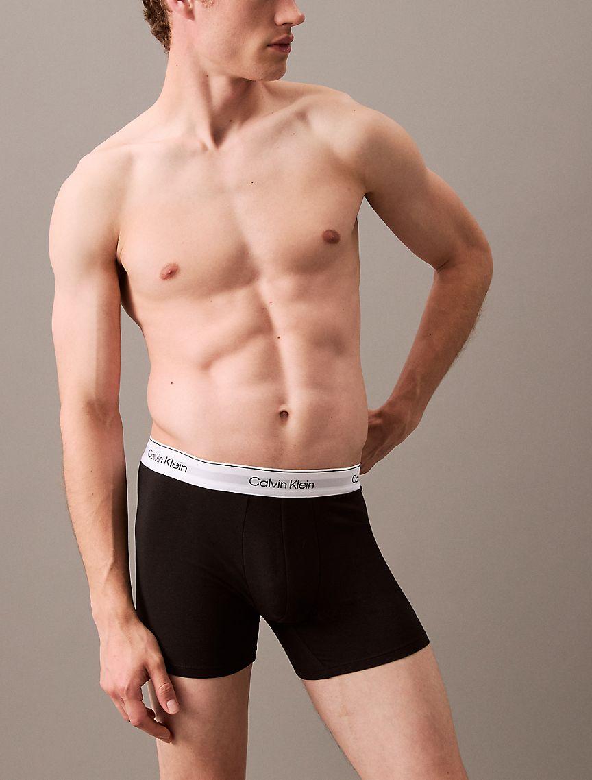 Icon Cotton Stretch 3-Pack Boxer Brief Product Image