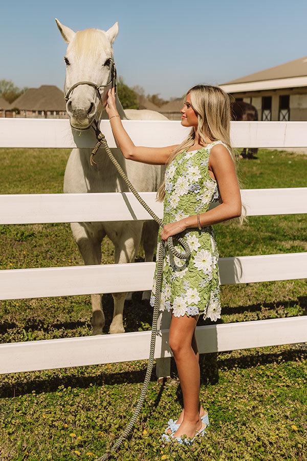 Garden Rendezvous Crochet Mini Dress Product Image
