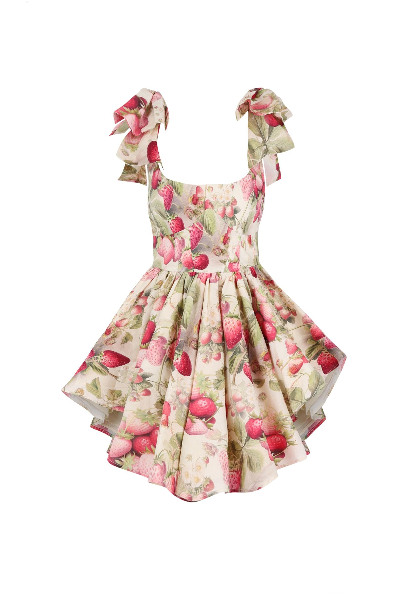 The Strawberry Cream Farmers Market Dress Product Image