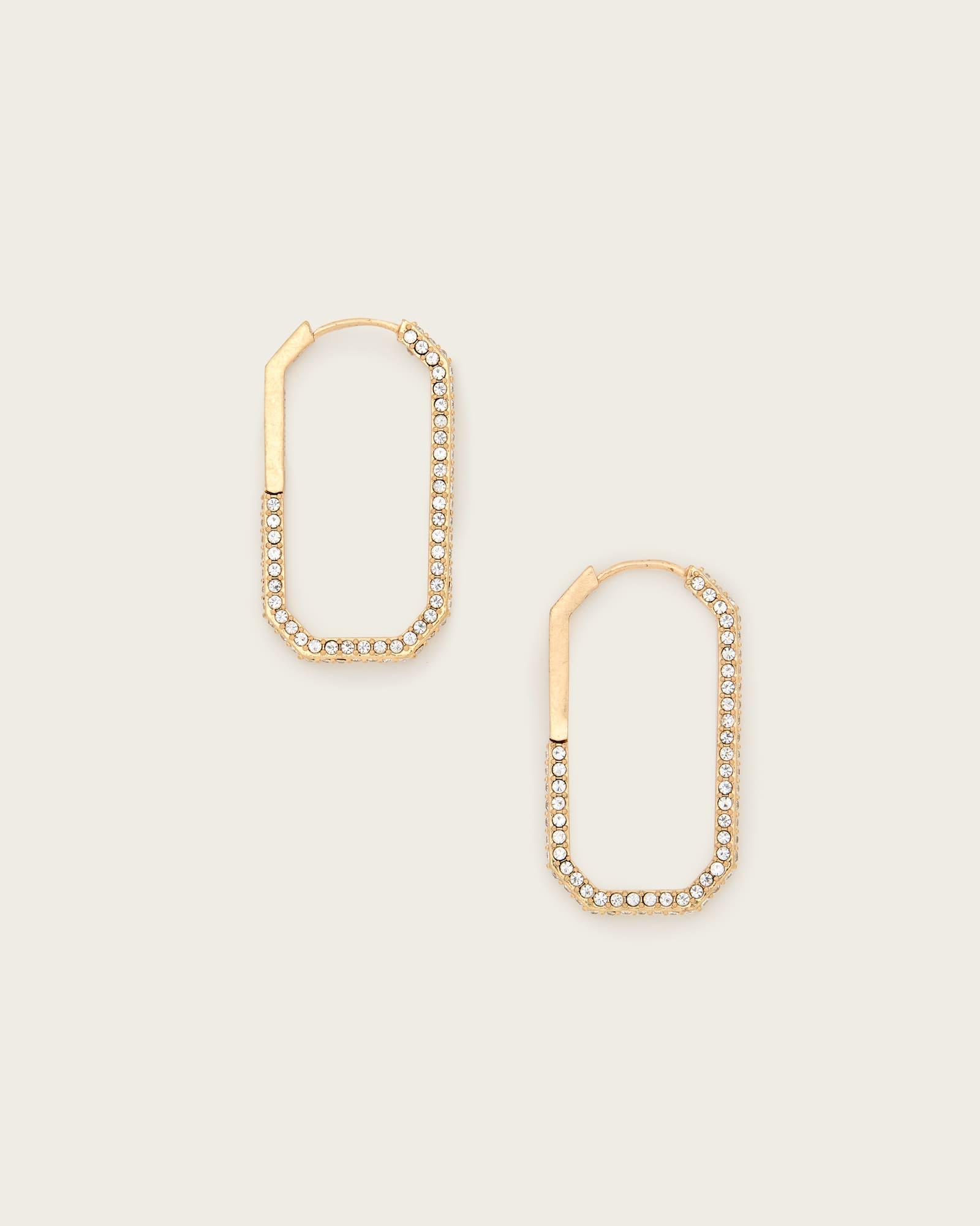 Laio Spike Hoop Earrings Product Image