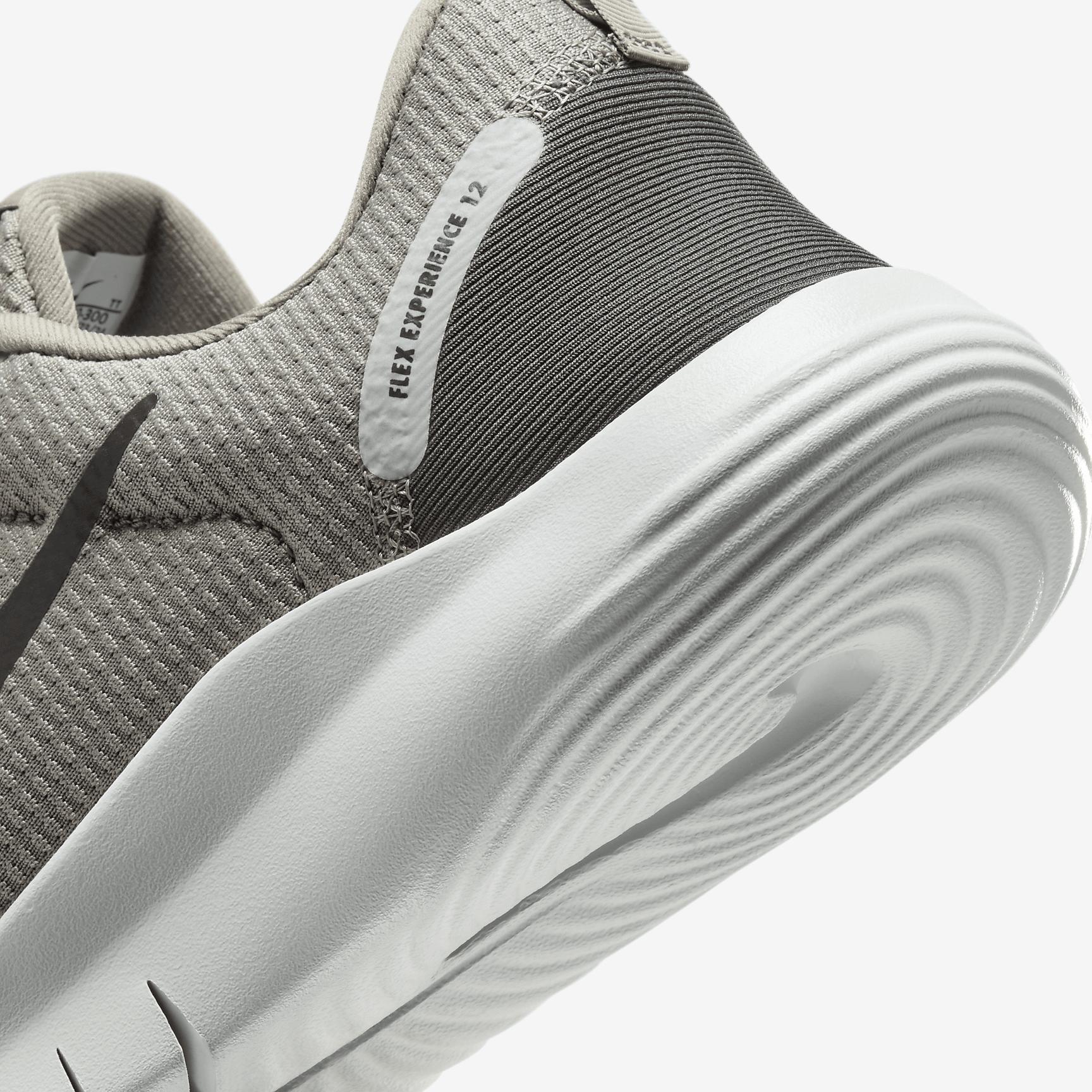 Nike Mens Flex Experience Run 12 Road Running Shoes | DV0740-300 Product Image