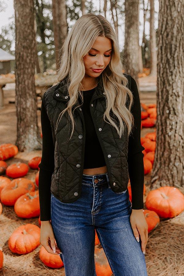 Morning Dew Quilted Vest in Black Product Image