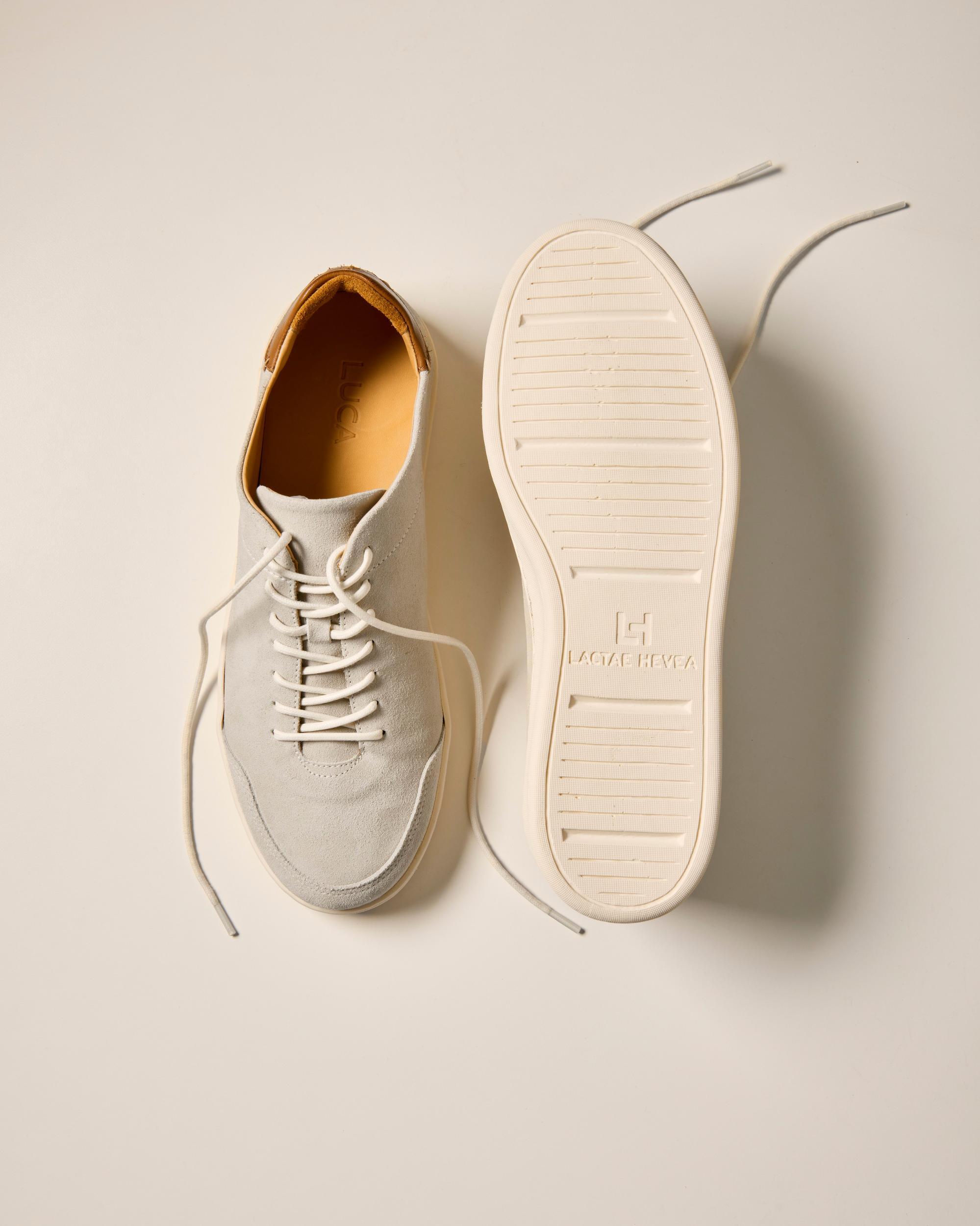 Suede Terra Low Sneaker Product Image