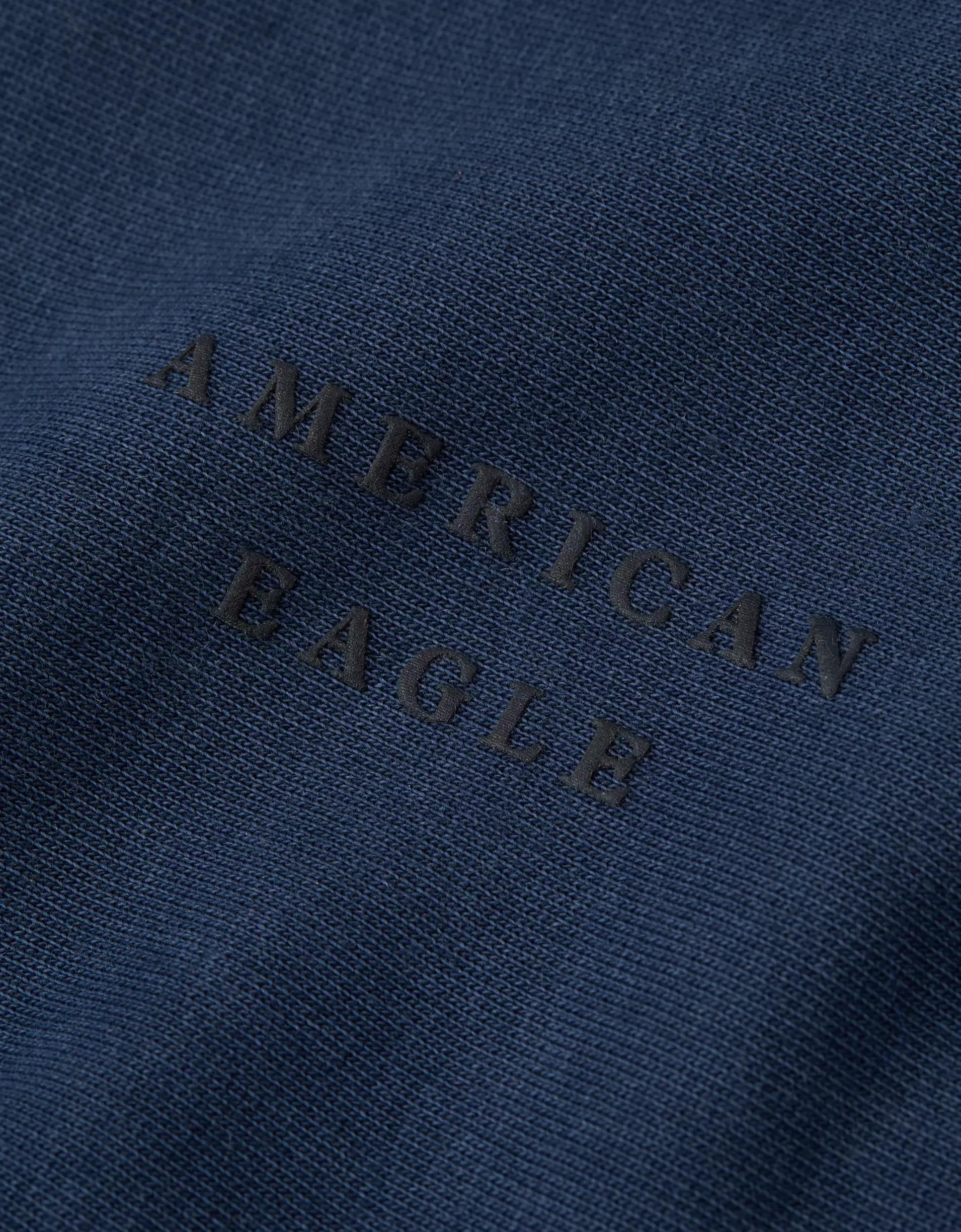 AE Laidback Luxe Heavyweight Logo Hoodie Product Image