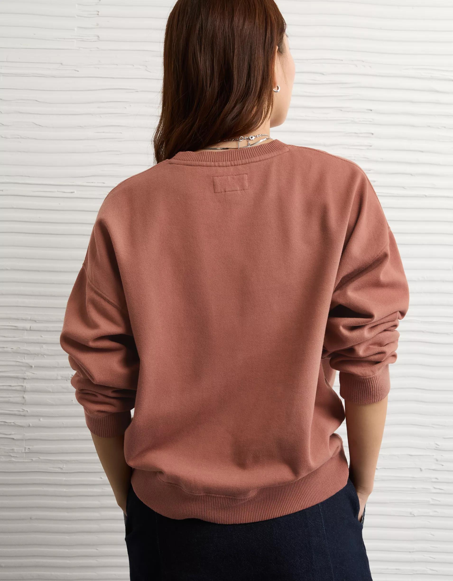 AE Velvet Graphic Crew Neck Sweatshirt Product Image