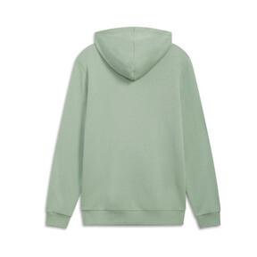 Essentials Men's Hoodie Product Image