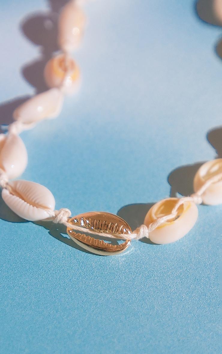 Natural Shell Belly Chain Product Image