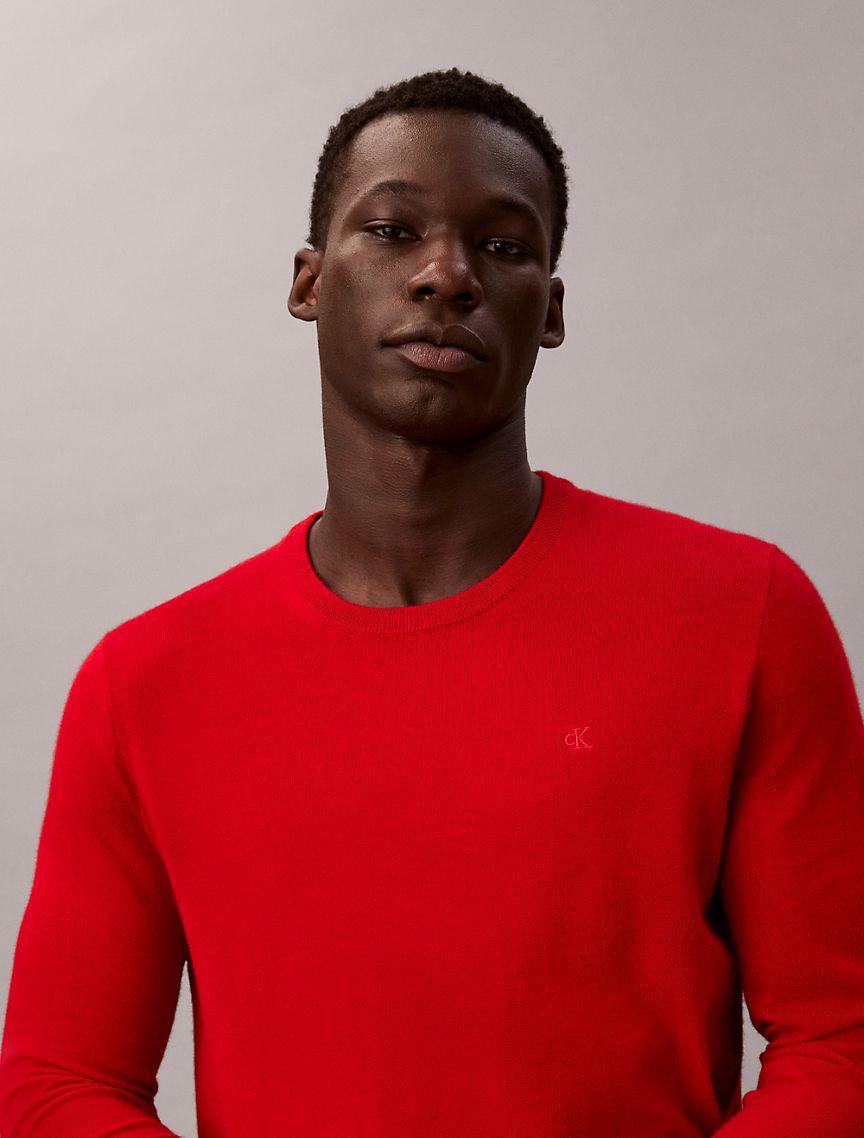 Extra Fine Merino Blend Crewneck Sweater Product Image