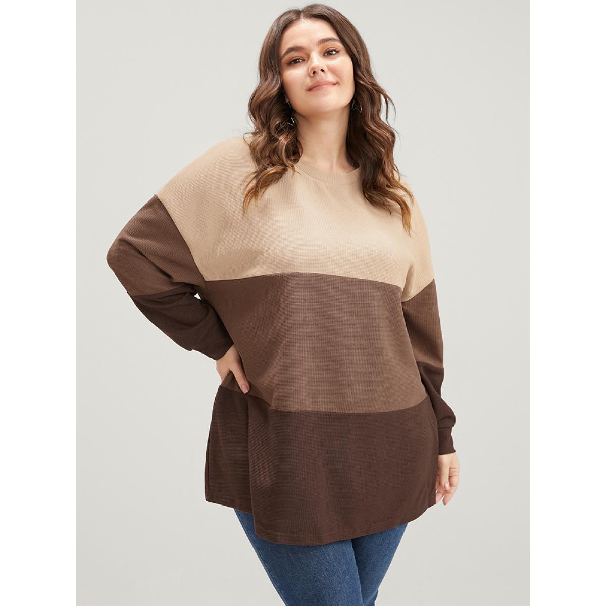 Plus Size Colorblock Contrast Round Neck Drop Shoulder Sweatshirt Women Tan Casual Patchwork Round Neck Dailywear Sweatshirts BloomChic 18-20/2X Product Image