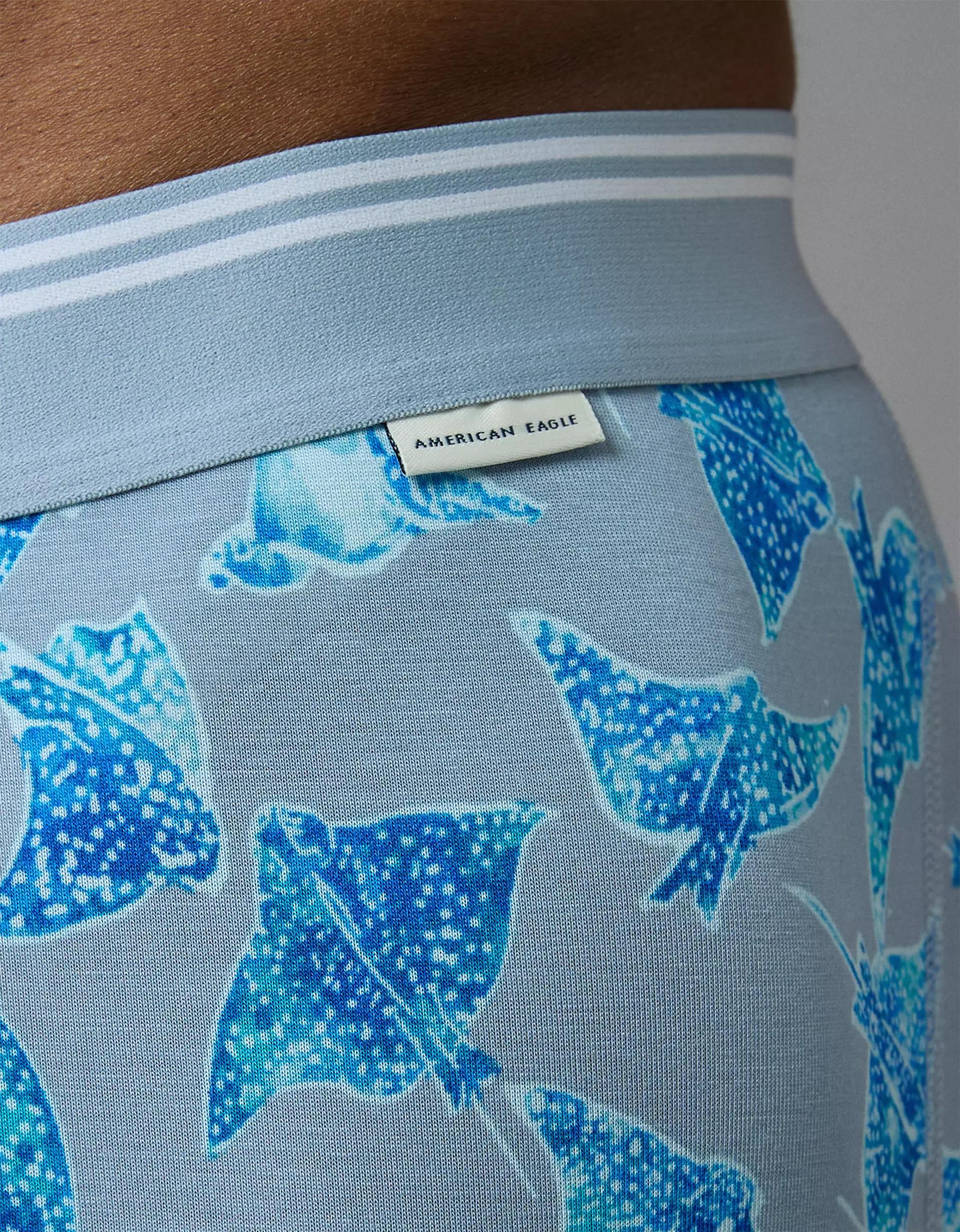 AEO Men's Stingray 4.5" Ultra Soft Boxer Brief Product Image