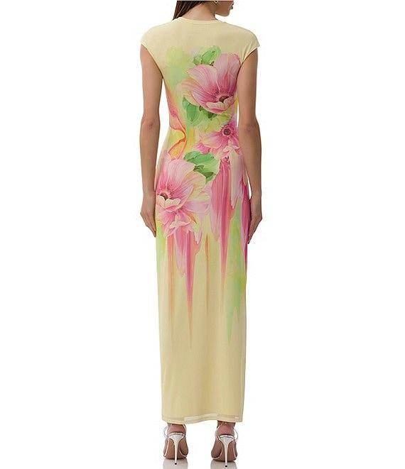 AFRM Cody Floral Print Crew Neck Cap Sleeve Mesh Maxi Dress Product Image